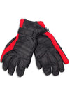 Winter Warm-Up - Mens Ski Gloves